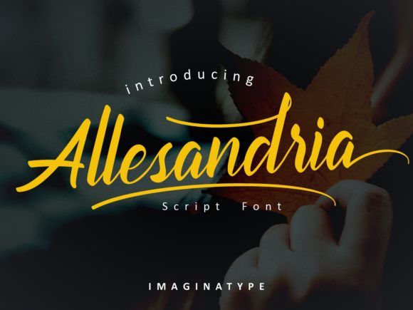 Allesandria Font: A Designer’s Honest Review