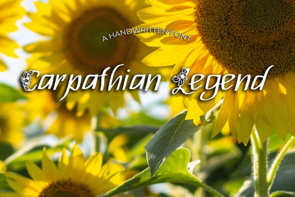 Carpathian Legend: A Designer’s Review