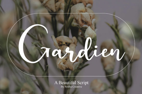 Gardien Font: Elevate Your Campaign Visuals
