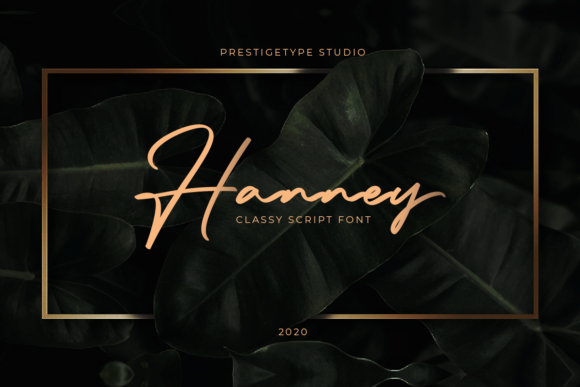 Hanney: A Handwritten Typeface for Editorial Warmth
