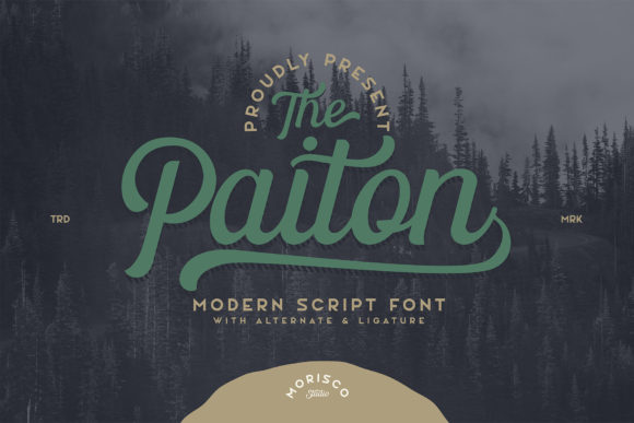 The Paiton: A Designer’s Review of Script Amp’s Latest Release